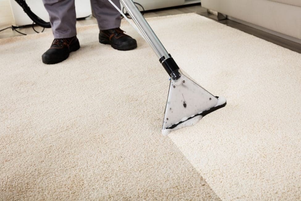 Everything You Need To Know About Carpet Cleaning