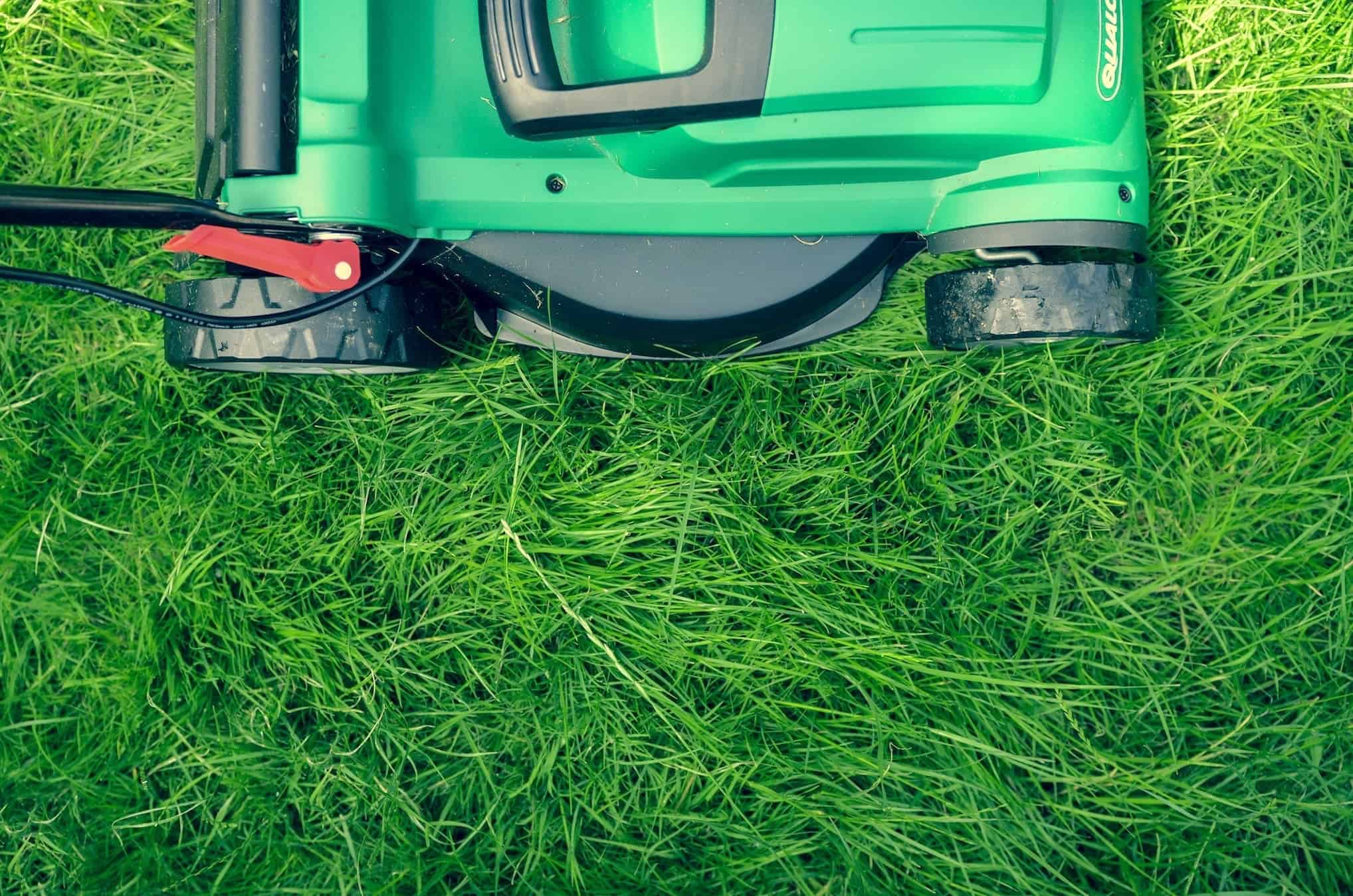 When To Hire A Landscaper