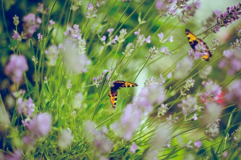 4 Home Projects That Double as Mother’s Day Gifts